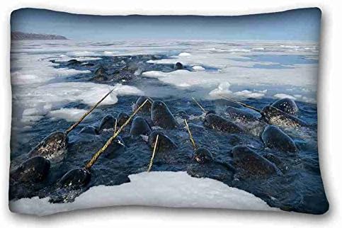 Generic Personalized ( Animals narwhals Arctic ocean ice ) Pillowcase Cover 20"X30" One Side suitable for Twin-bed
