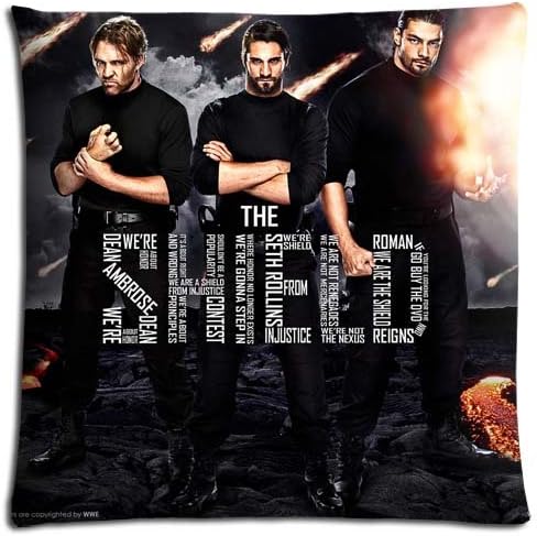 Collection The Shield Beautiful Zippered Bedding Pillow Protectors Cases Polyester Cotton 16x16 inch 40x40 cm
