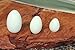 The Jade Eggs For Women Exercise Handmade Jade Eggs