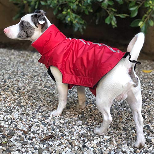 petcee dog jacket