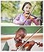 Branger Violin Shoulder Rest for 1/2 and 1/4 Size, with Collapsible and Height Adjustable Feet, Including a Violin Practice Mute