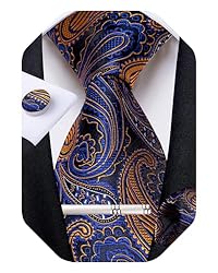 DiBanGu Silk Paisley Ties for Men Woven Necktie and