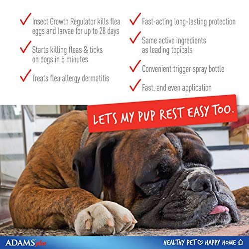 1 Adams+Plus+Flea+Tick+Spray