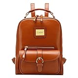 TinkskyÂ® Vintage Shoulders Bag Fashion Student Backpack School Bag (Brown)