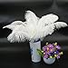 STTQYB Ostrich Feathers, 20Pcs Feathers for Centerpieces, Natural Ostrich Feathers for Wedding Centerpieces Home Decoration (White, 10-12 Inches)