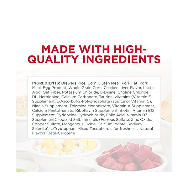 science diet sensitive stomach cat rice and egg