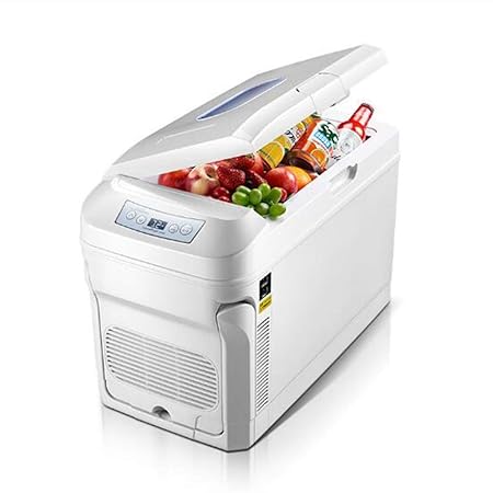 GXFC Mini Nevera Refrigerador de Doble Uso para automóviles de 35L ...