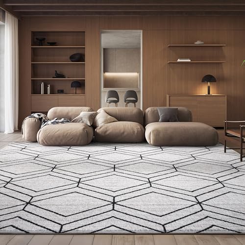 SAFAVIEH Adirondack Collection X-Large Area Rug - 11' x 15', Ivory & Black, Mod…
