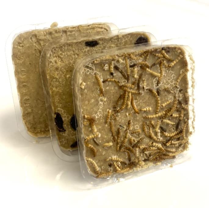 PREMIUM SUET BLOCKS 3 MIXED (1 INSECT 1 MEALWORM 1 BERRIES) DCP