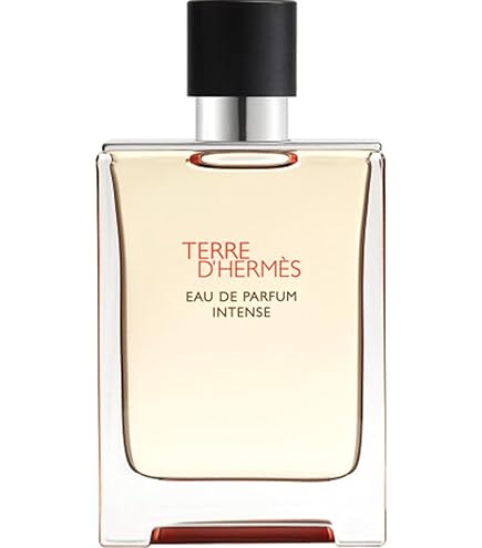 Amazon.com : Hermes Terre D'hermes Eau de Toilette Spray for Men