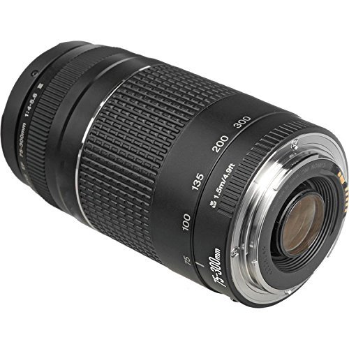 Canon EF 75-300mm f/4-5.6 III Zoom Lens for Canon EOS 7D, 60D, EOS Rebel SL1, T1i, T2i, T3, T3i, T4i, T5i, XS, XSi, XT, XTi Digital SLR Cameras + RADIO ELECTRONICS USA Micro Fiber Cleaning Cloth