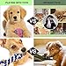 Dog Toys, Dog Chew Toys, Dog Training Toy Set with Ball Ropes and Squeaky Toys for Medium to Small Doggie, 12 Pack of Gift Pet Toy Set