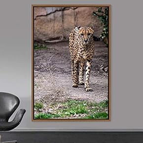 signwin Framed Canvas Wall Art Cheetah Animals Cheetah...