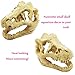 Bestgle Aquarium Fish Tank Decoration Ornament Resin Emulational Dinosaur Head Bone Skull Accessories