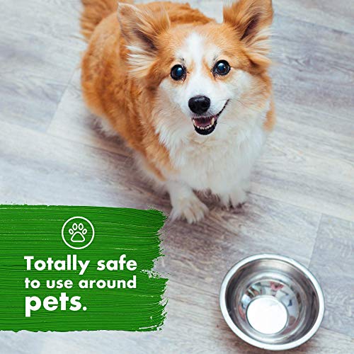 Art Of Green Cleaning Wipes ToGo Pack, Lavender Eucalyptus Scent