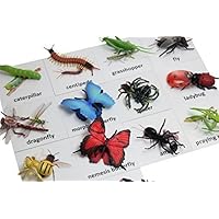 Curious Minds Busy Bags Montessori Insect Animal Match Cards and Figurines. Nomenclature Science Work