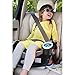 Graco 4ever All-in-One Convertible Car Seat, Cougar