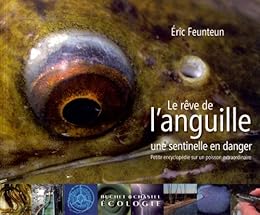 Le  rêve de l'anguille