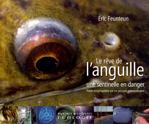 Le  rêve de l'anguille