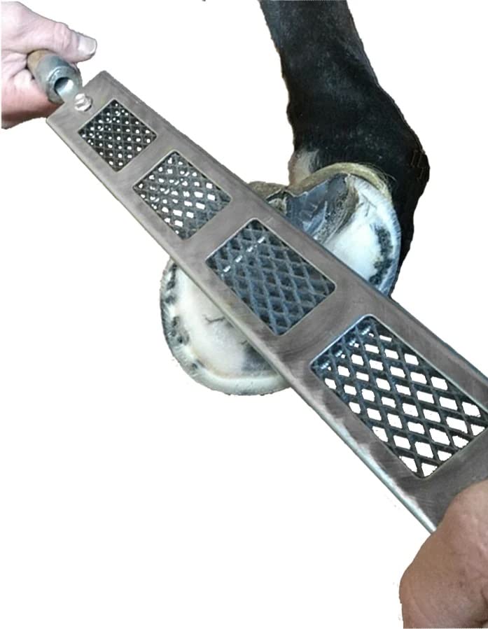 Cody James Dymondback Rasp - Best File for Trimming A Horse HOOF - Choose Fine, Medium or Aggressive (FINE)
