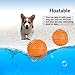 JAKPAK Dog Squeaky Toys Durable Rubber, Non Toxic Silicone Chew Resistant Fun Toy with Quack Sound Floatable Dog's Sound Toy for Animal Training Biting Outside Playing, Orange