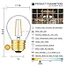 CRLight 2W 3000K LED Globe Bulb Soft White 300LM Dimmable, 30W Incandescent Equivalent E26 Medium Base LED Filament Bulb, G14(G45) Clear Glass Globe Shape, 8 Pack