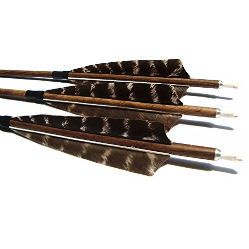 image for MS Jumpper Archery Hunting Carbon Arrows, MS Carbon Fiber Arrow Spine 