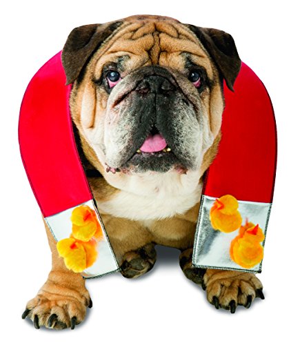 Rasta Imposta Chick Magnet Dog Costume, X-Small/Small
