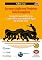 Livro Scrum e Agile em Projetos 2a edição