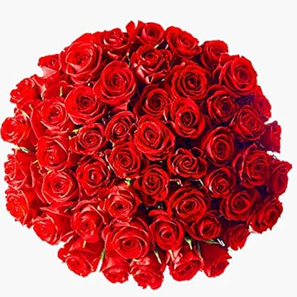 FloraZone Half Century Fresh Flowers Bouquet (Bunch of Fresh 50 Red Rose)