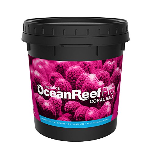 iQuatics Ocean Reef Pro Coral Salt – 10KG Bucket | Advanced Synthetic Formula | Fast-Dissolving, Residue-Free | Perfect Element Balance for Reef Aquariums | Enhances Coral Growth & Vibrancy