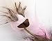 Petlinks HappyNip Loony Legs Ostrich Feather Cat Toy, Contains Silvervine & Catnip - Brown/Pink, One Size