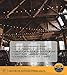 Outdoor Commercial String Globe Lights with Hanging Drop Sockets – 50ft – 24 Sockets and Bulbs Outdoor or Indoor. Great for Patio, Cafe, Party, Home, Bistro, Wedding, Backyard
