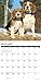 Just Beagles 2019 Wall Calendar (Dog Breed Calendar)