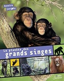 La  planète des grands singes