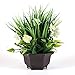 Binnny Flower Artificial Potted Plant with Gardenia Flowers in Brown Plastic Planter for Home, Office, Indoor and Outdoor Occasions Decor