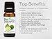BioFinest Bergamot Oil - 100% Pure Bergamot Essential Oil - Premium Organic - Therapeutic Grade - Best For Aromatherapy - Relieve Cold - Reduce Headache - FREE Essential Oil Guide (10ml)