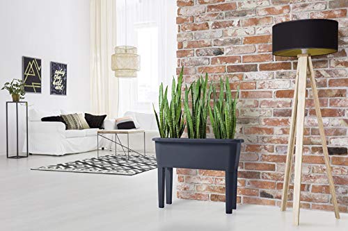 Kreher Hochbeet, Gemüsebeet, Pflanzkasten mit Füßen und Haube aus Kunststoff Maße: 77 x 37,5 x 83 cm! (Anthrazit) – Bild 7