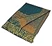 Paskmlna Border Pattern Double Layered Reversible Woven Pashmina Shawl Scarf Wrap Stole (#05teal)