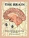 The Brain; An Introduction to Neurology