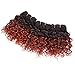 8 Inch Water Wave Human Hair Ombre Bundles T1B/27 Ombre Hair Weave 4pcs For Bob Weave 200g/Pack Two Tone Ombre Color Black and Honey brown Color Hair Extension (8inch4pcs,T1B/27)