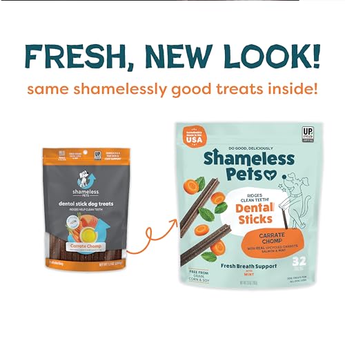 SHAMELESS PETS CARROT & MINT DENTAL CHEWS FOR DOGS, 32 CHEWS – NATURAL DOG TEETH CLEANING TREATS WITH FRESH BREATH BENEFITS | GRAIN-FREE DENTAL STICKS FOR SMALL, MEDIUM & LARGE DOGS