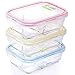 Glass Food Storage 2-Compartment Containers - Divided Meal Prep Lunch Boxes - 3-Pack - Microwave, Freezer, Dishwasher Safe - Airtight Lids, Portion Control Set, 3 x 32 Oz