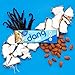 Dang Almond Cookie Keto Bar, 12 Pack, Low Carb, Low Sugar, Plant Based Snack, Vegan, Gluten Free
