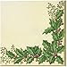 Creative Converting 55568 36 Count Winter Holly Paper Lunch Napkins