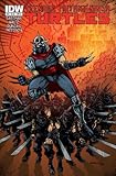 Read Teenage Mutant Ninja Turtles No. 10 Cover B Reader