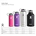 Hydro Flask Insulated Stainless Steel Water Bottle, Wide Mouth, 40-Ounce, Black Butte