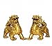BOYULL Feng Shui Set of Two Golden Brass Pi Yao/Pi Xiu Wealth Porsperity Figurine,Attract Wealth and Good Luck,Best Decoration for Office or Home