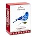 Hallmark 1595QX9355 Beauty of Birds #13 Mountain Bluebird Keepsake Christmas Ornaments
