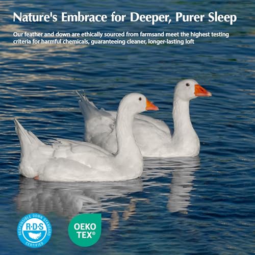 PACIFIC COAST Goose Down Fiber Comforters Oversized King Duvet Insert, All Season White Comforter, 3D Hidden-Stitch Baffle Box Design, 8 Tabs, Gifts for Women/Men, Extra Fluffy Luxury Duvet (116"x98")